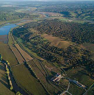 Herdade do Portocarro Vingård