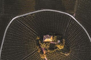 Baron Longo Weinberg