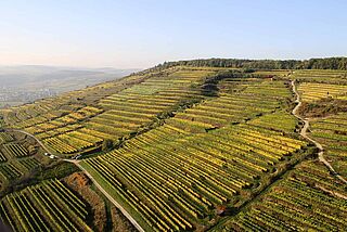 Panorama aus der Luft der Weinberge von Bründlmayer