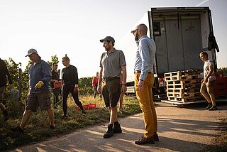 Bürklin Wolf Weinlese