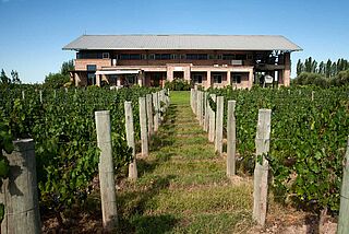 Achaval Ferrer Weingut mit Rebzeilen