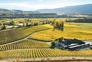 Felton Road Luftaufnahme Weinberge und Weingut