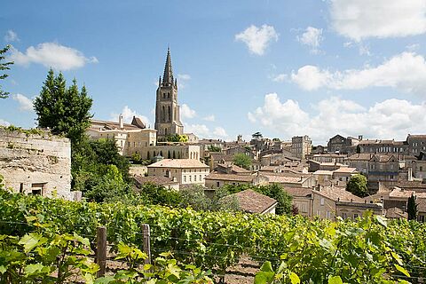 Weinfeld mit dem Dorf Saint Emillion im Hintergrund 