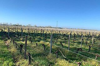 Weinfeld Chateau Valade