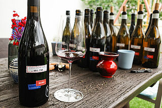 Lichtenberger Gonzalez