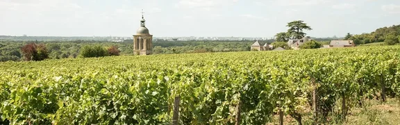 Vouvray Weinregion