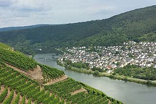 Blick auf die Mosel vom Hang mit Weinfeldern