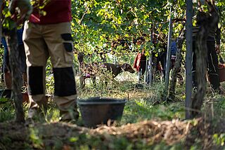 Lese bei Friedrich Becker