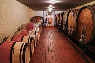 Weinkeller vom Weingut Krutzler