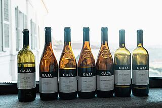 Gaja