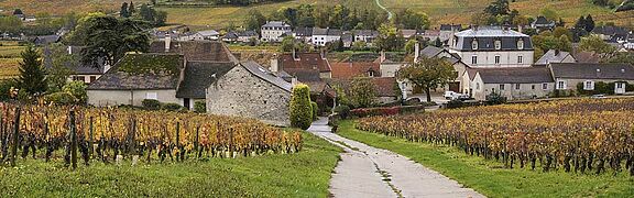 Cote Chalonnaise