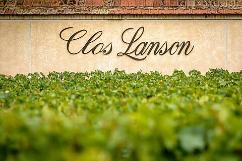 Weingut hinter den Rebzeilen