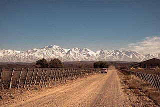 Vinmarker foran bjerge nær Altos Las Hormigas