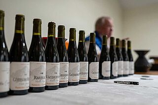 Weinprobe bei Michel Tardieu
