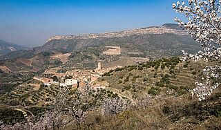 Weinberge Bodegas Telmo Rodriguez Rueda bei blauem Himmel