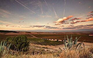 Weinberge Panorama und Sonnenuntergang bei Palacios Remondo