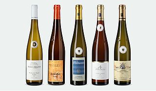 Versteigerungsweine 2018 Versteigerungsweine 2018