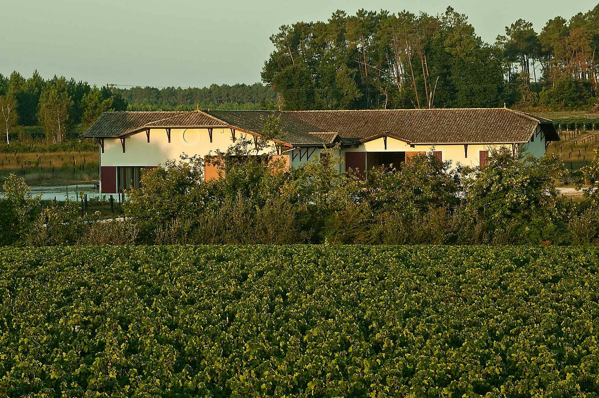 Clos Marsalette