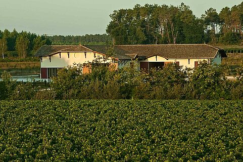 Clos Marsalette