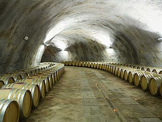 Elio Grasso - Vinkælder, hvælving