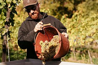 Arbeit im Weinberg Eymann