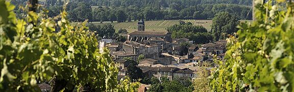 Côtes de Castillon Wein