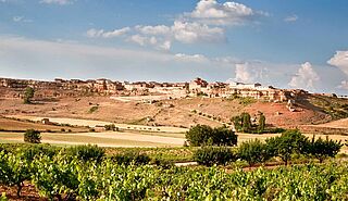 Ribera del Duero landskab