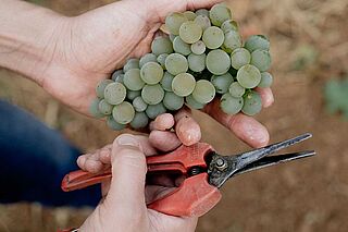 Weedenborn under høsten