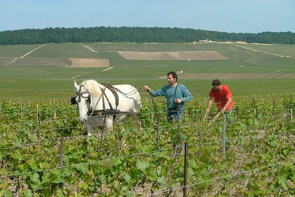 Agrapart & Fils