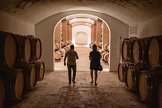 Weinkeller von Felsina