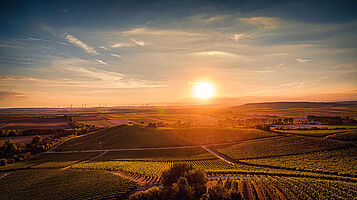 Weingut Knewitz