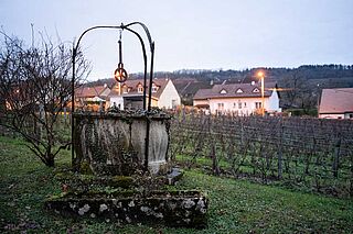 Brunnen und Weinfeld des Weinguts Montbourgeau Brunnen und Weinfeld des Weinguts Montbourgeau