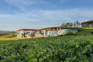 Weingut und Weinreben Granbazan Weingut und Weinreben Granbazan