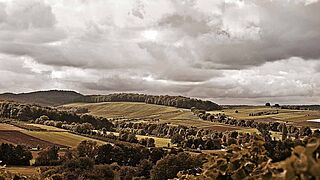 Weinlandschaft Hirth Weinfelder