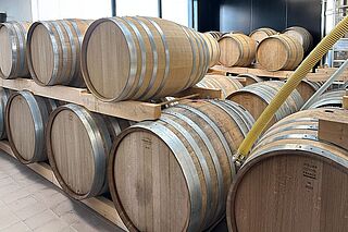 I vinkælderen hos Etienne Calsac