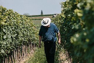 Weingut von der Mark