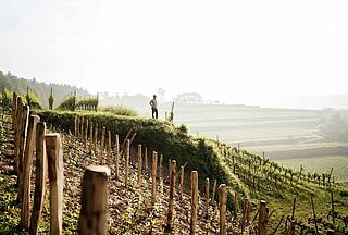 Bernhard Huber steht im Weinberg mit Panorama über die Weinlandschaft