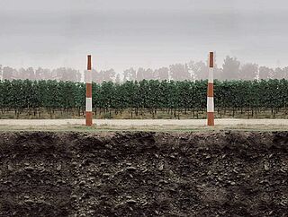 Der Boden am Weingut