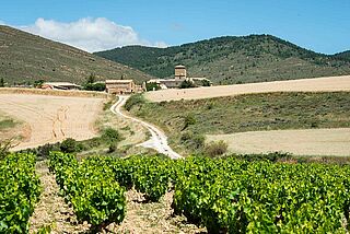 Weingut Viña Zorzal mit Weinbergen im Hintergrund