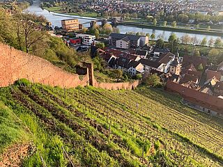 Foto der Lage am Klingenberger Schlossberg