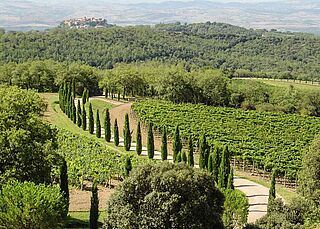 Weingut Poggio Antico