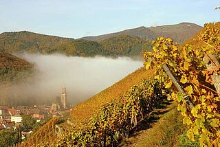 Zind Humbrecht Weinberg