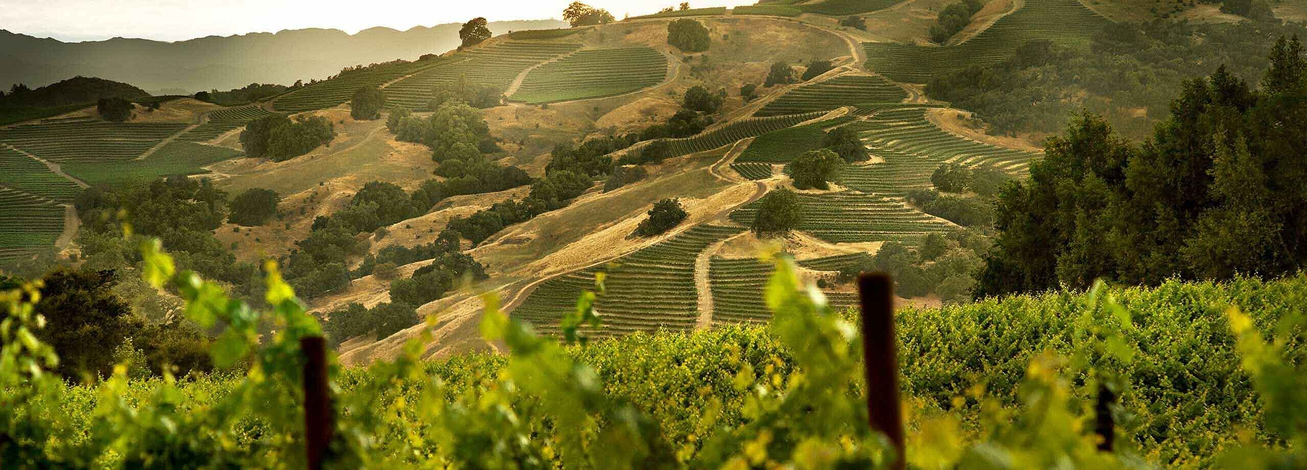 Weinlandschaft USA Subskription