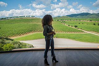 Weinberge von Le Mortelle