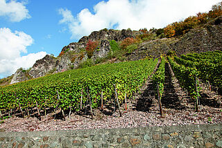 Kupfergrube Kupfergrube