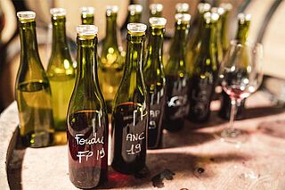 Weinprobe bei Laurent Pataille