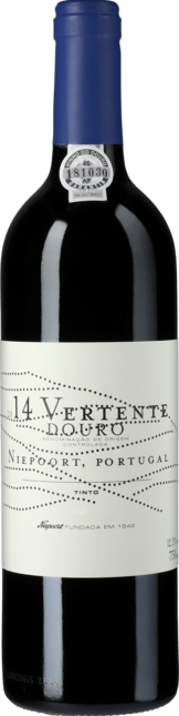 Vertente 2019