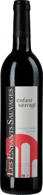 Weinpaket: Schnupperkurs “Languedoc und der Südwesten” | 12×0,75l
