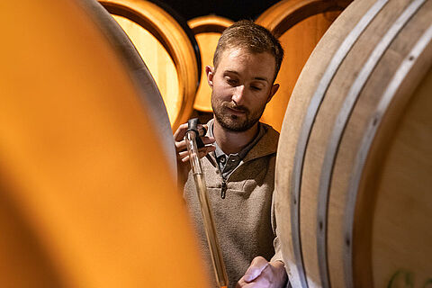 Winzer im Weinkeller Champagne Clandestin