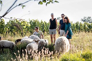 Winzerfamilie auf dem Weinfeld Ernst Triebaumer